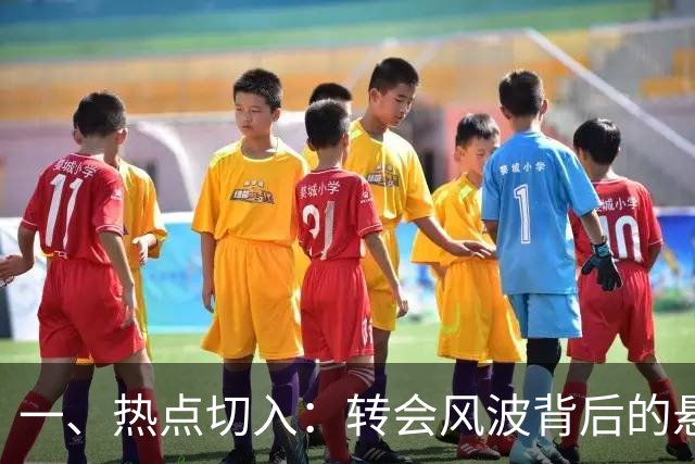 一、热点切入：转会风波背后的悬念